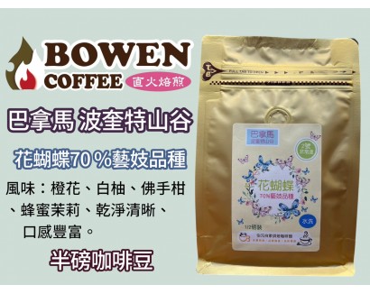 【伯元咖啡】淺烘焙-巴拿馬-波奎特山谷-花蝴蝶-70%藝妓【水洗】咖啡豆 手工挑豆 新鮮烘焙