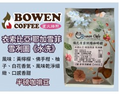 【伯元咖啡】淺烘焙-衣索比亞-耶加雪菲-科洽雷-雪冽圖處理廠【水洗】