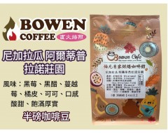 【伯元咖啡】淺烘焙-尼加拉瓜-阿爾蒂普拉諾莊園-帕卡瑪拉品種【水洗】半磅咖啡豆 手工挑豆 新鮮烘焙 【伯元咖啡】淺烘焙-尼加拉瓜-阿爾蒂普拉諾莊園-帕卡瑪拉品種【水洗】半磅咖啡豆 手工挑豆 新鮮烘焙