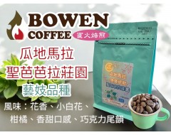 【伯元咖啡】淺烘焙-瓜地馬拉-法漢尼斯-聖塔芭芭拉莊園-藝伎【水洗】 咖啡豆半磅、手工挑豆、新鮮烘焙