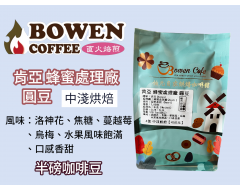 【伯元咖啡】中淺烘焙-肯亞-涅里產區-蜂蜜處理廠【水洗】 半磅咖啡豆 手工挑豆 新鮮烘焙