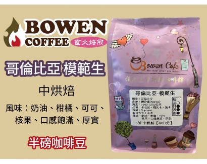 【伯元咖啡】中深烘焙-哥倫比亞-模範生(水洗) 半磅咖啡豆 手工挑豆 新鮮烘焙