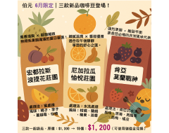 【伯元咖啡】夏日精品三選 咖啡豆組合 3包半磅咖啡豆