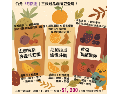 【伯元咖啡】夏日精品三選 咖啡豆組合 3包半磅咖啡豆